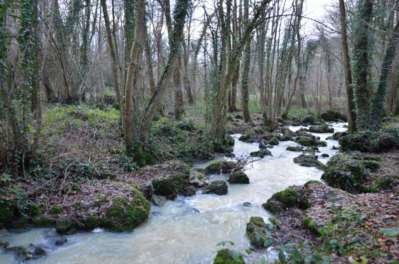 Montmirail
