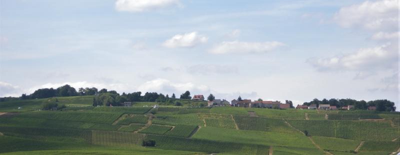 Mutigny