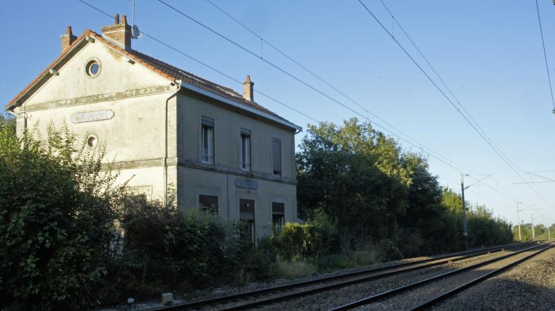 La Veuve