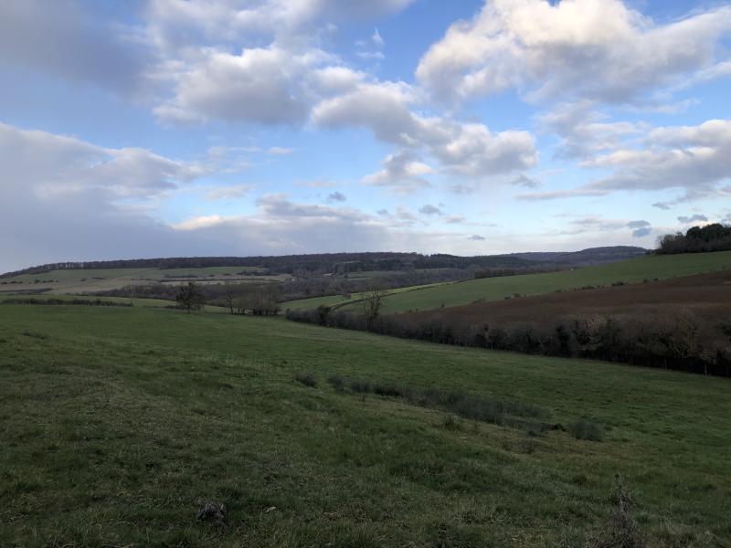 Aulnoy-sur-Aube