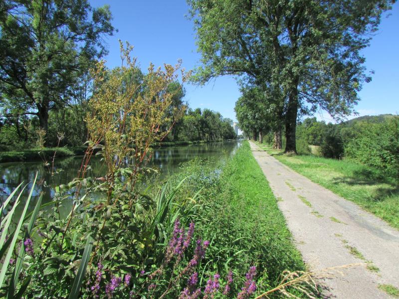 Bologne