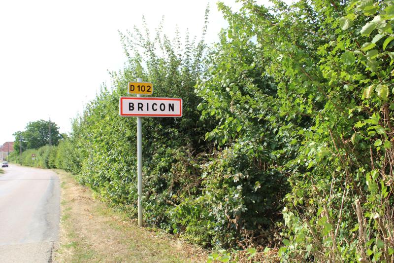 Bricon