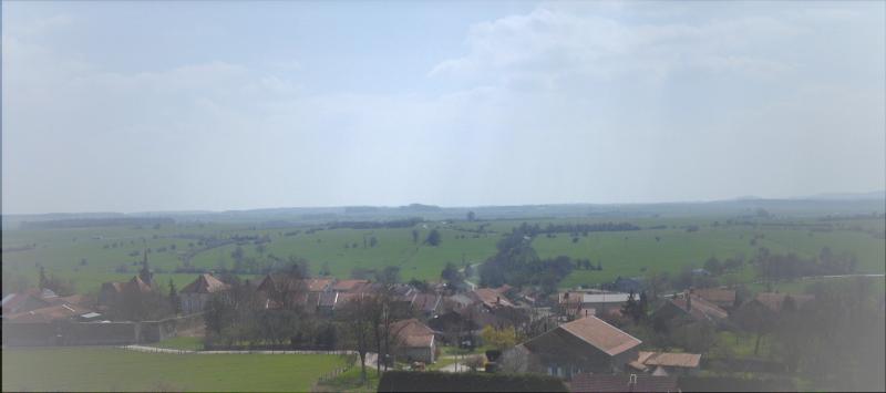 Choiseul