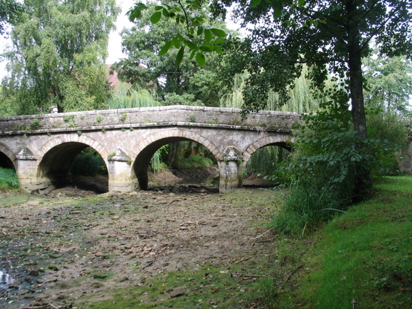 Dommarien