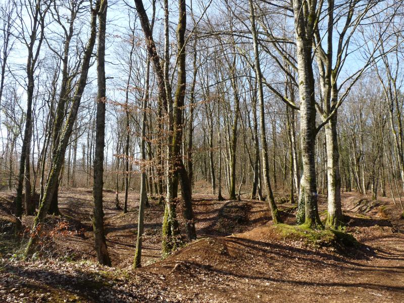 Montreuil-sur-Thonnance
