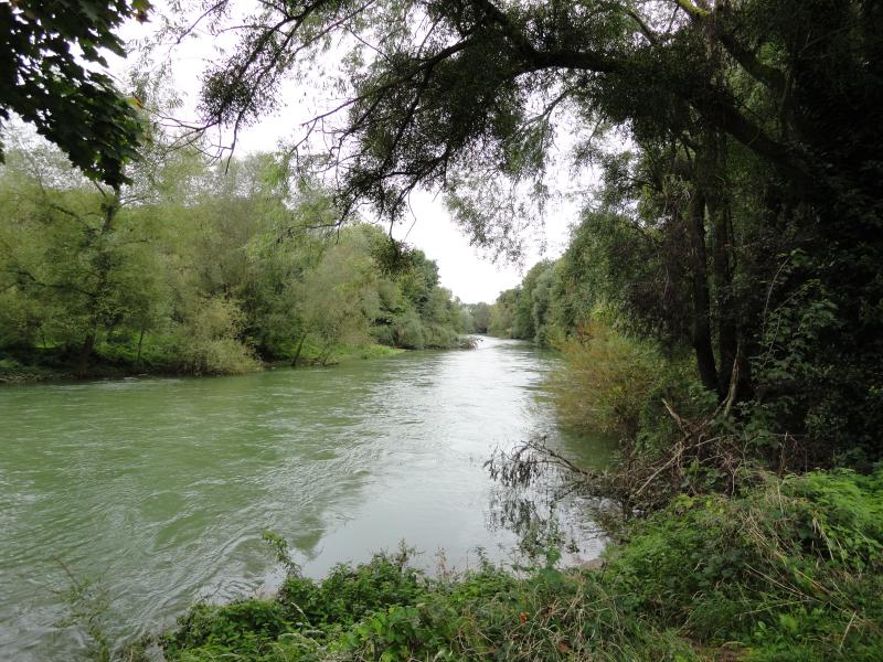 Saint-Dizier