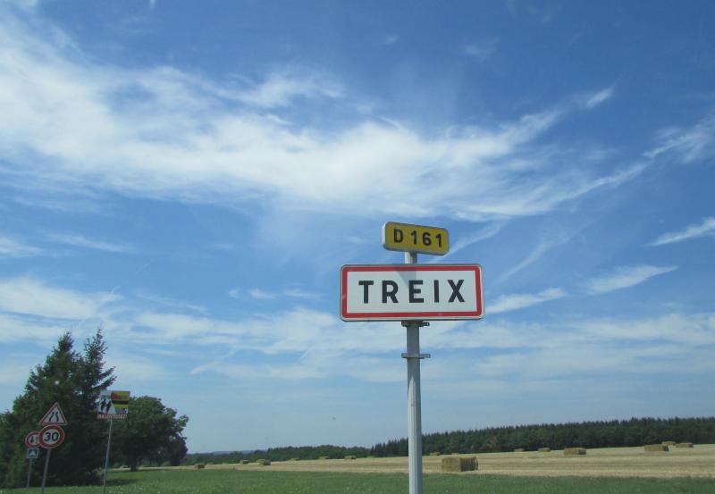 Treix