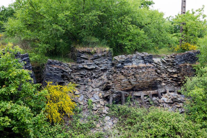 Saint-Saturnin-du-Limet
