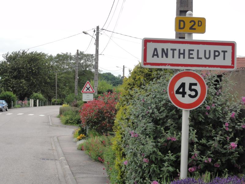 Anthelupt