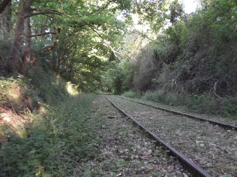 Haudonville