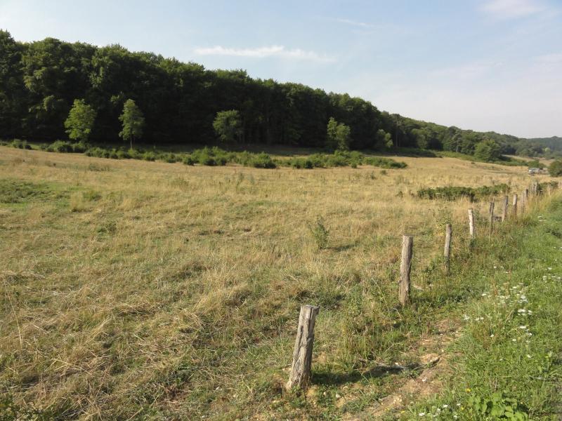 Laneuveville-derrière-Foug