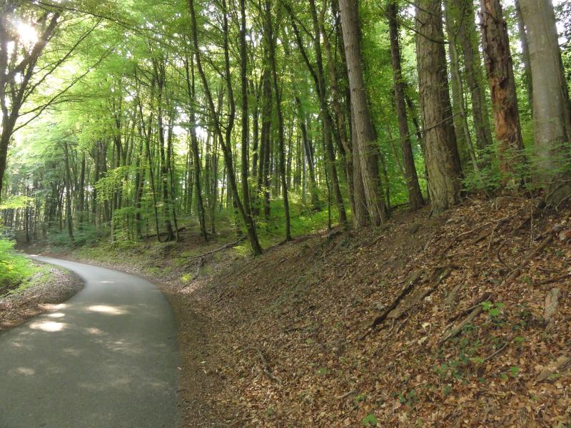 Laneuveville-derrière-Foug