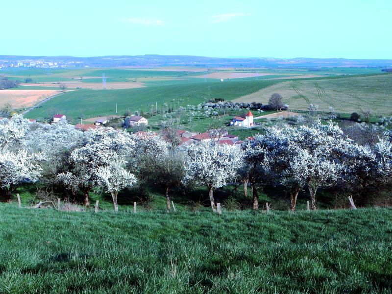 Marthemont