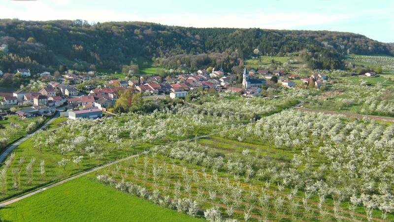 Buxières-sous-les-Côtes
