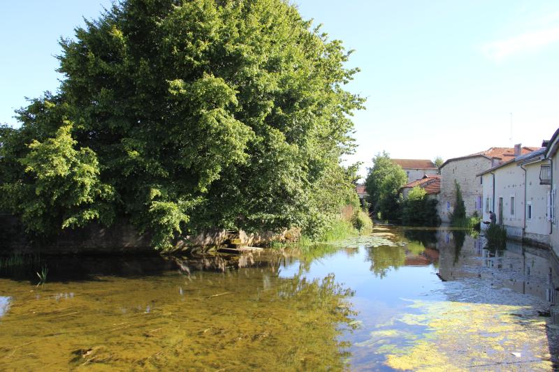 Dammarie-sur-Saulx
