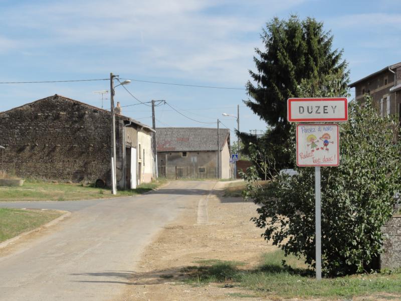 Duzey