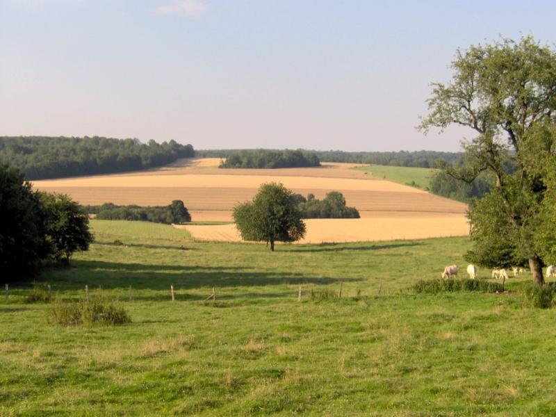 Fouchères-aux-Bois