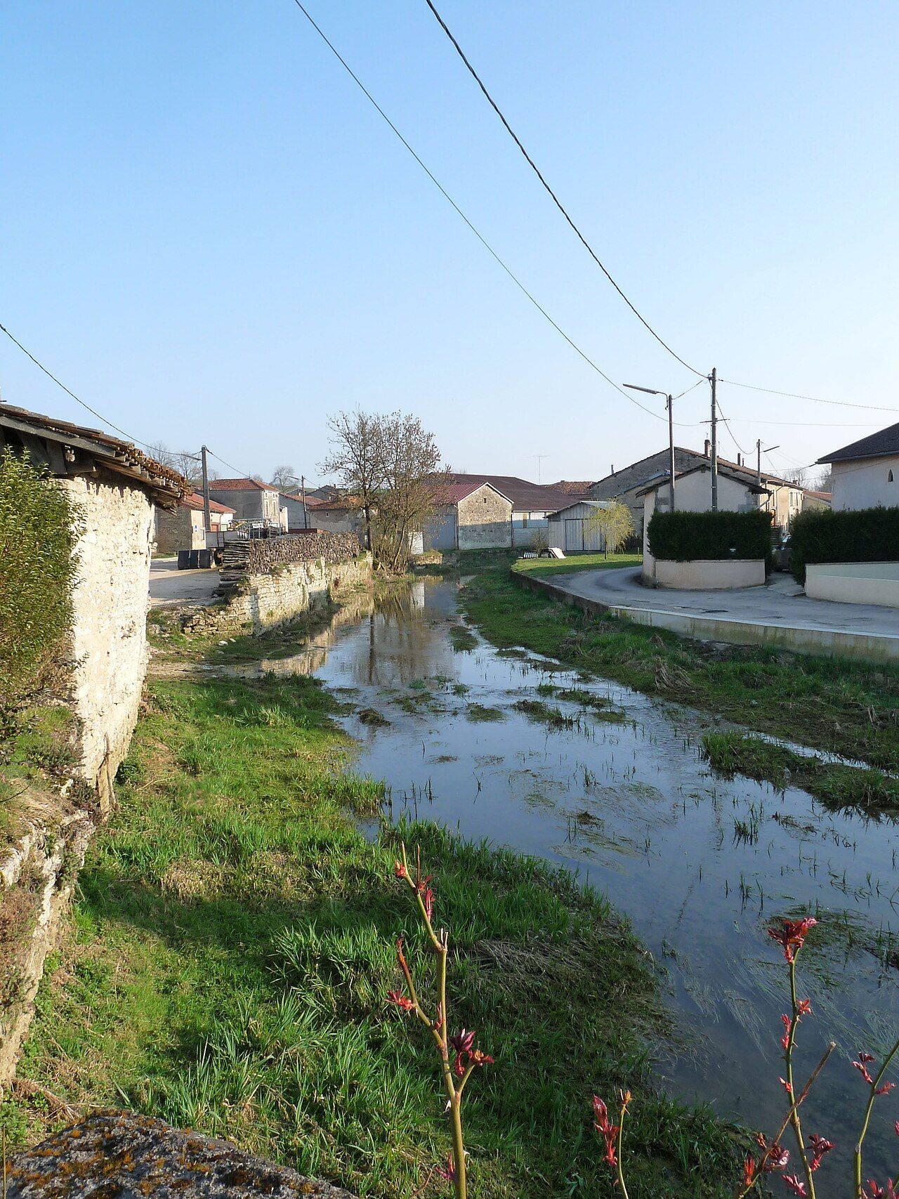 Photo 2 — Ribeaucourt, Meuse (55290)