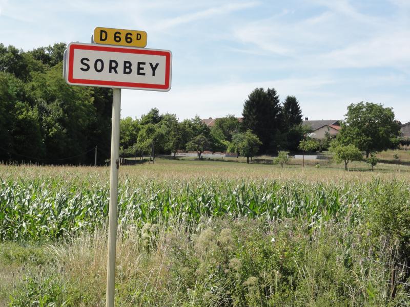 Sorbey