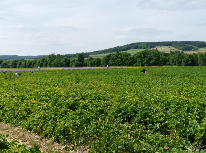 Tronville-en-Barrois