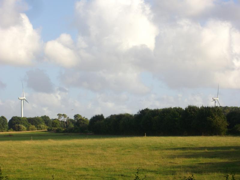 Buléon