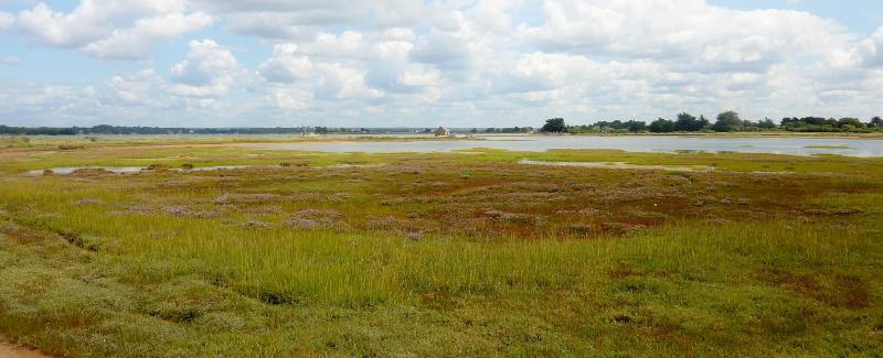 Île-d'Arz