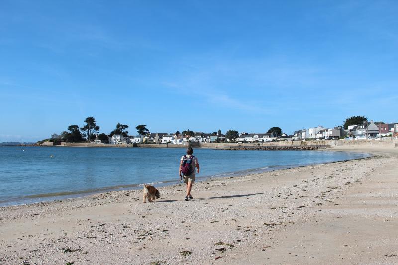 Larmor-Plage
