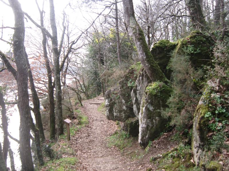 Pluneret