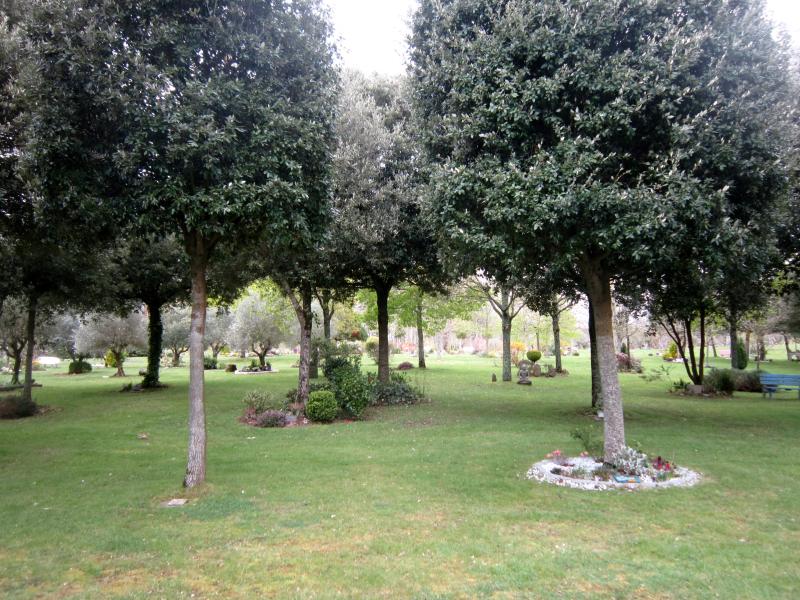 Pluneret