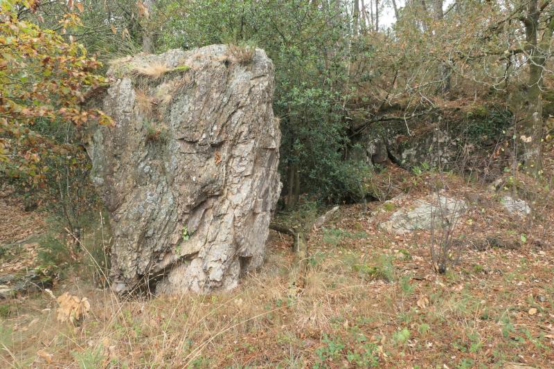 Saint-Congard