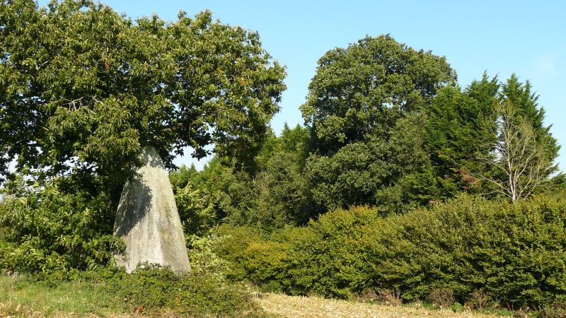 Saint-Jean-Brévelay