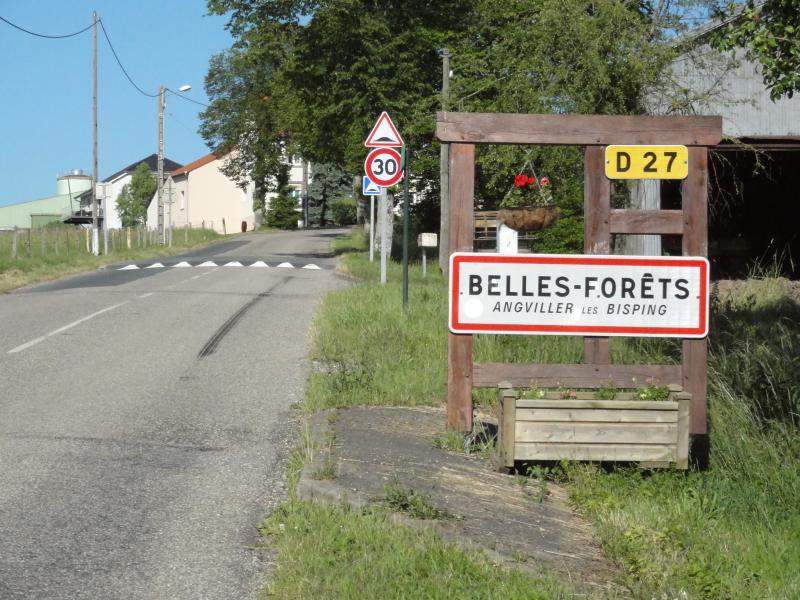 Belles-Forêts