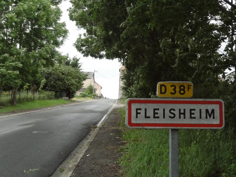 Fleisheim