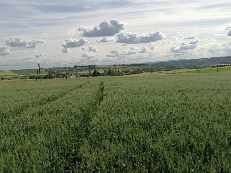 Morville-Lès-Vic, Moselle