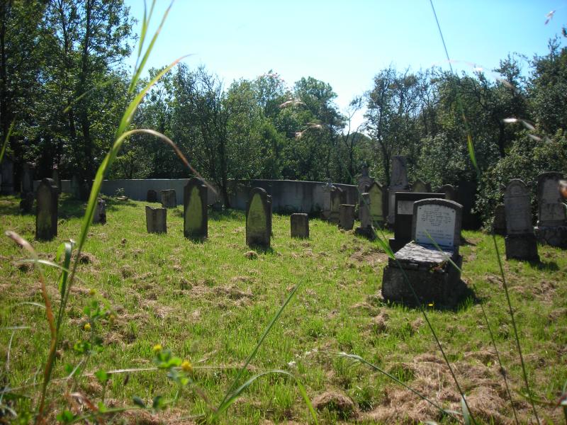 Niedervisse