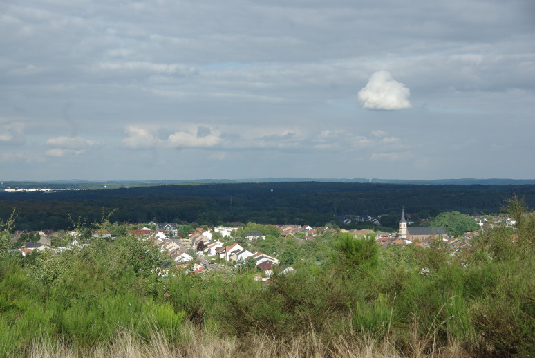 Porcelette