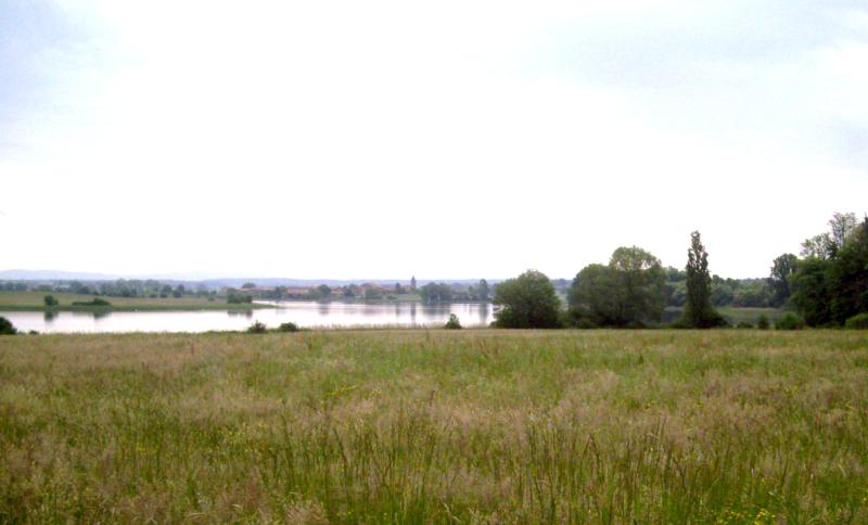 Tarquimpol