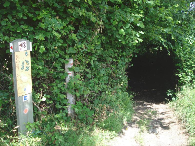 Vue de Marigny-L'église, Nièvre (58140)