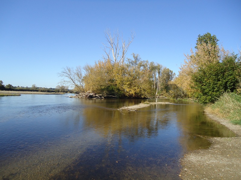 Mars-sur-Allier