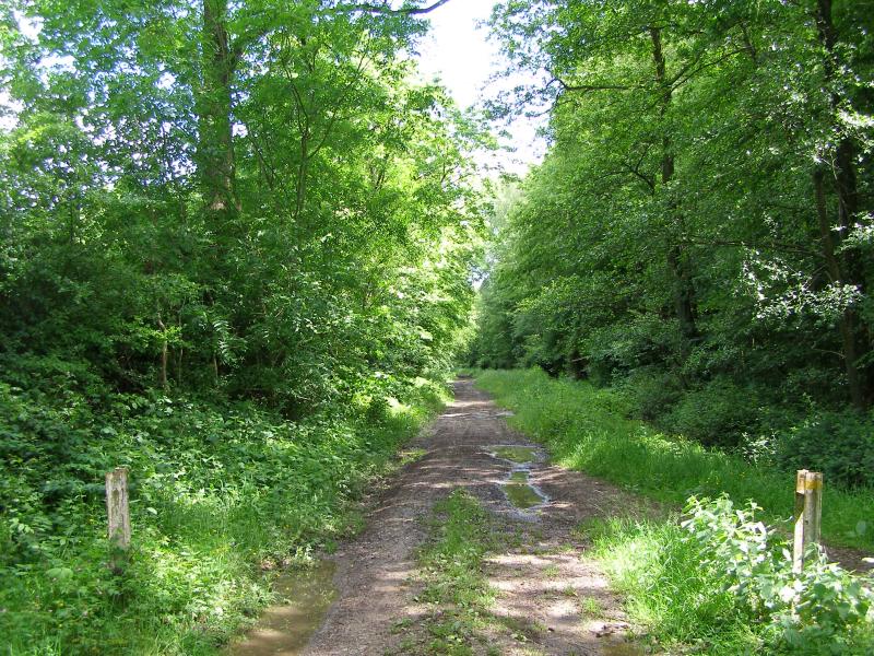 Beaufort