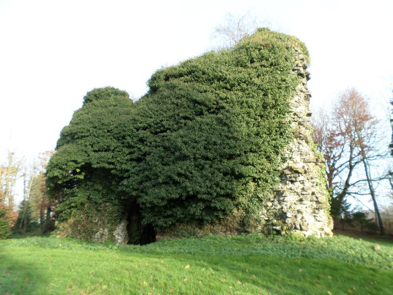 Beaufort