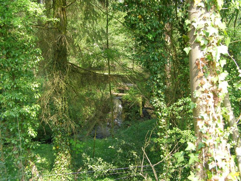 Dimont