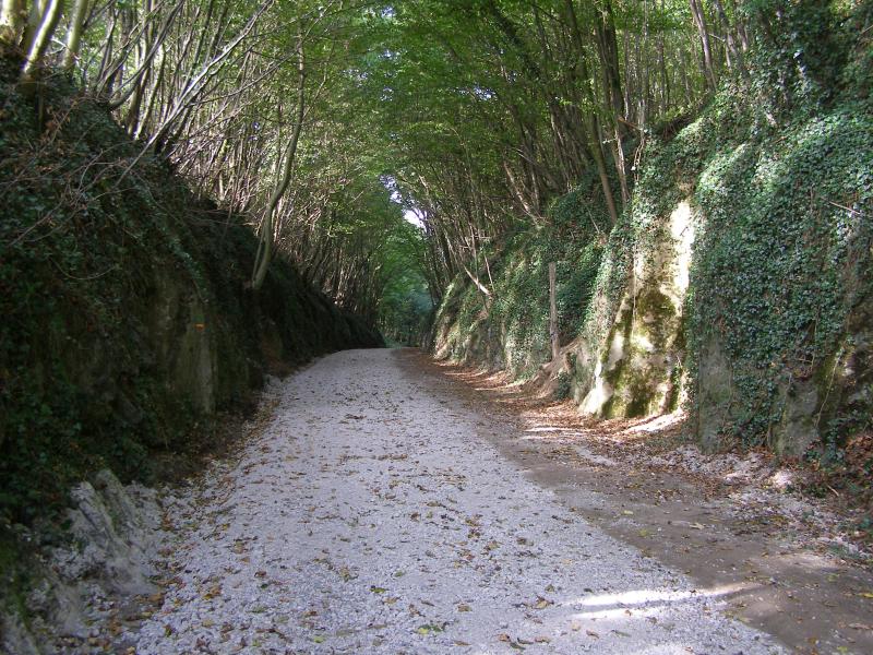 Ferrière-la-Grande