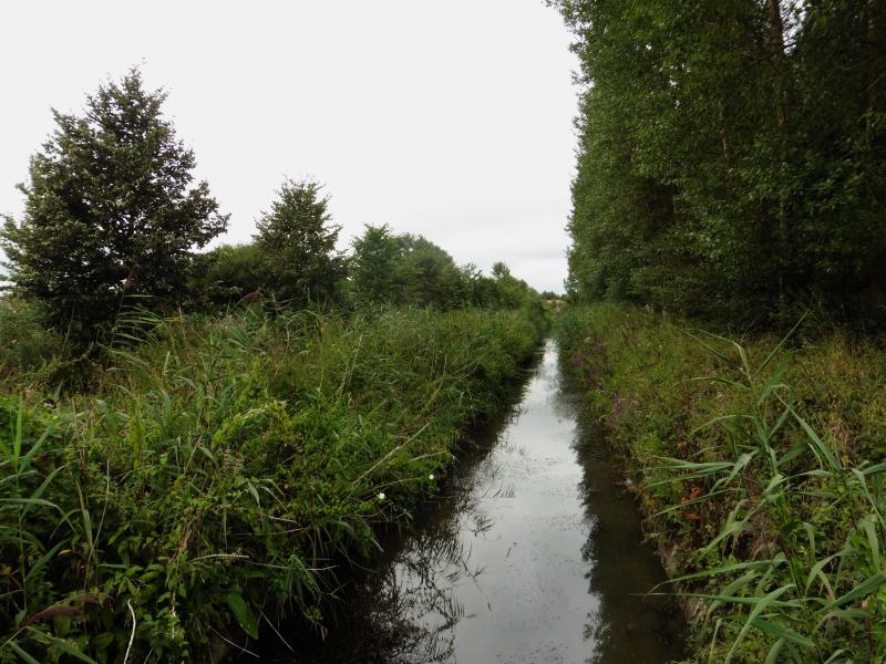 Marchiennes
