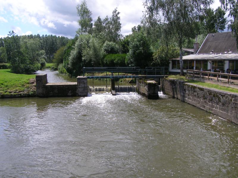 Maroilles