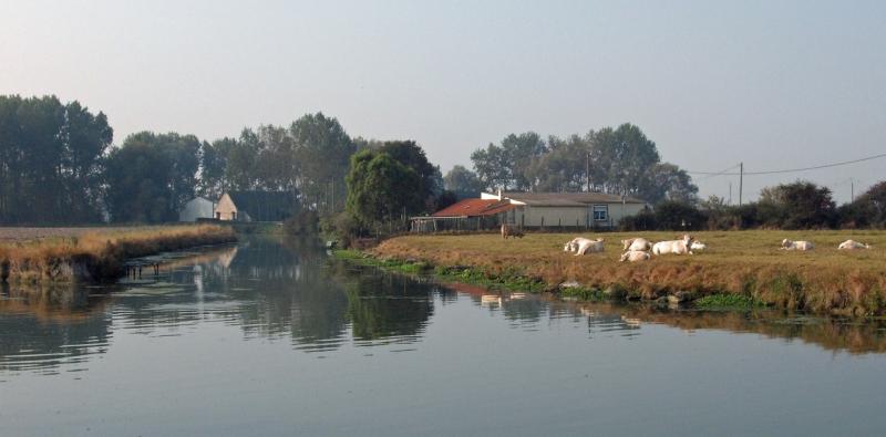 Saint-Georges-sur-l'Aa