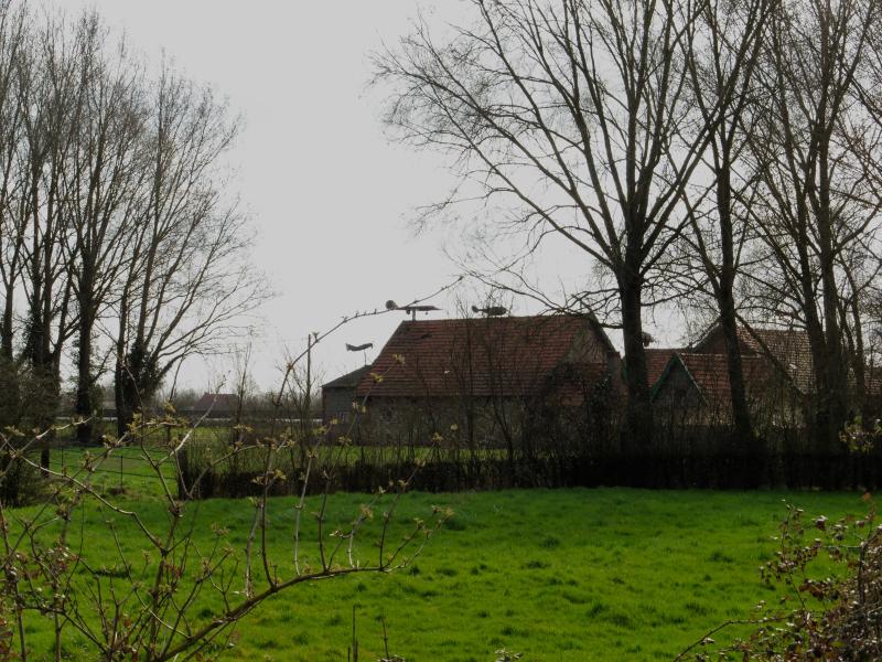 Steenwerck