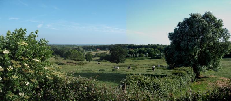 Wulverdinghe