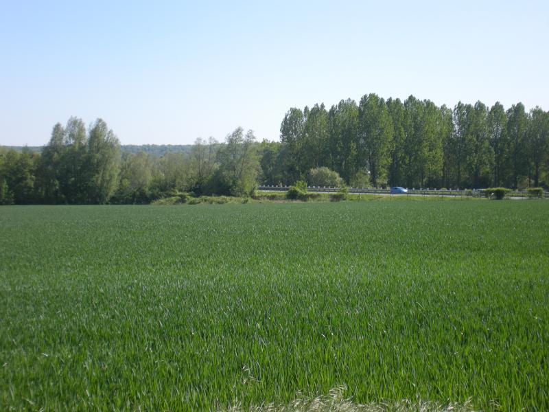 Agnetz
