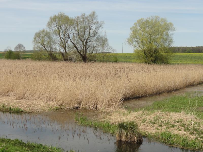 Auger-Saint-Vincent